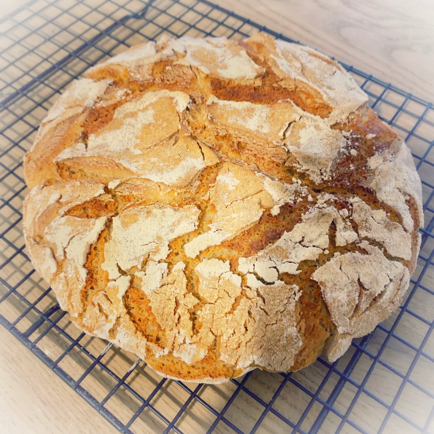 Backmari STRAWANZER - glutenfreie Bio Backmischung - wie Mischbrot, 2x700g